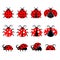 Cute ladybug vector icons. Cartoon-style bug icons