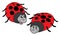 Cute ladybugs vector illustration