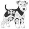 Cute lakeland terrier dog design