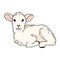 Cute lamb doodle. Hand drawn image of a small sheep
