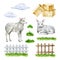 Cute lamb farm set. Hand drawn illustration. Cute little newborn sheep, green grass, fence, hay, clouds. Domestic farm