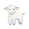 Cute lamb isolated on white. Watercolor cartoon illustration. Little sheep