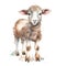 Cute lamb watercolor illustration, animals and farm clipart