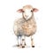 Cute lamb watercolor illustration, animals and farm clipart