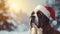 A cute large St. Bernard dog wearing Santa Claus\\\' hat.