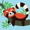 Cute Lemur on Branch Child Graphic Illustration