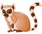 Cute lemur cartoon