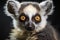 Cute lemur close-up on plain background