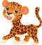 Cute leopard cartoon