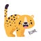 Cute Leopard or Jaguar Cub Standing and Roaring Vector Illustration