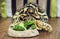 Cute Leopard tortoise is feeding green cucumber