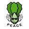Cute lettuce cartoon mascot character