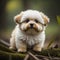 Cute Lhasa Apso puppy sitting on a tree trunk. generative ai
