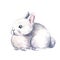 Cute light grey rabbit, hand drawn vector