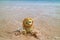 Cute Lion Toy Enjoy Water Bubbles from Sea Wave on his Beach Holidays, Anakena Beach, Easter Island, Chile