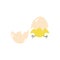 Cute litlle newborn yellow chiken hatching from the egg. Vector illustration
