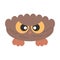 Cute Little Angry Bird Owl with big eyes