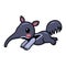 Cute little anteater cartoon running