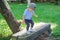Cute little Asian 18 months / 1 year old toddler baby boy child walking on balance beam in the park on nature in summer