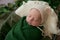 Cute little baby in a beanie hat lies in a wicker basket in a green blanket with green leaves and apples. Autumn mood.