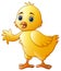 Cute little baby chick waving isolated on a white background