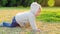 Cute little baby crawling outdoors. Full HD Video