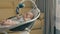 Cute little baby with dummy is rocking by the modern cradle