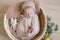Cute little baby in a knitted hat with a toy bunny lies in a wicker basket decorated with greens and lemons