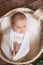 Cute little baby legs in a white blanket in a wicker basket decorated with branches of conifers and cotton on a wooden floor.