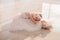 Cute little ballerina in white ballet costume and pointe shoes is posing on floor