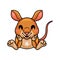 Cute little bandicoot cartoon sitting