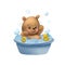 A cute little bear takes a bath