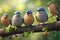 Cute little birds sitting on a branch of a blossoming tree