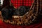 Cute little black puppies breed Italian Cane Corso in a rattan basket.