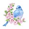 Cute little blue bird in bloom. Watercolor illustration. Cute animals and birds. Spring symbol. Happy Easter. Blue luck bird