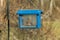 Cute little bluebird in a feeder box