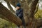 A cute little boy in a blue warm jacket and knit beanie sitting on the branch of big tree. He is afraid to fall down. Image with s