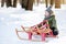 Cute little boy with broken sled on a walk in snowy park. Frustrated child tries to fix them