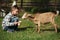 Cute little boy feeding goat