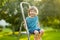 Cute little boy helping to harvest apples in apple tree orchard in summer day. Child picking fruits in a garden. Fresh healthy