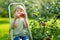 Cute little boy helping to harvest apples in apple tree orchard in summer day. Child picking fruits in a garden. Fresh healthy