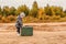 Cute little boy opens an old green suitcase in retro clothes