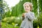 Cute little boy picking fresh berries on organic blueberry farm on warm and sunny summer day. Fresh healthy organic food for small