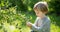 Cute little boy picking fresh berries on organic blueberry farm on warm and sunny summer day. Fresh healthy organic food for small