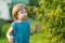 Cute little boy picking fresh berries on organic raspberry farm on warm summer day. Harvesting fresh berries on fall day