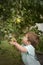 Cute little boy picking fruit from tree