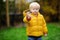 Cute little boy picking mushroom in autumn day