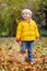 Cute little boy picking mushroom in basket