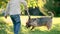 Cute little boy playing with Australian terrier pet dog in sunny summer backyard