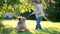 Cute little boy playing with Australian terrier pet dog in sunny summer backyard